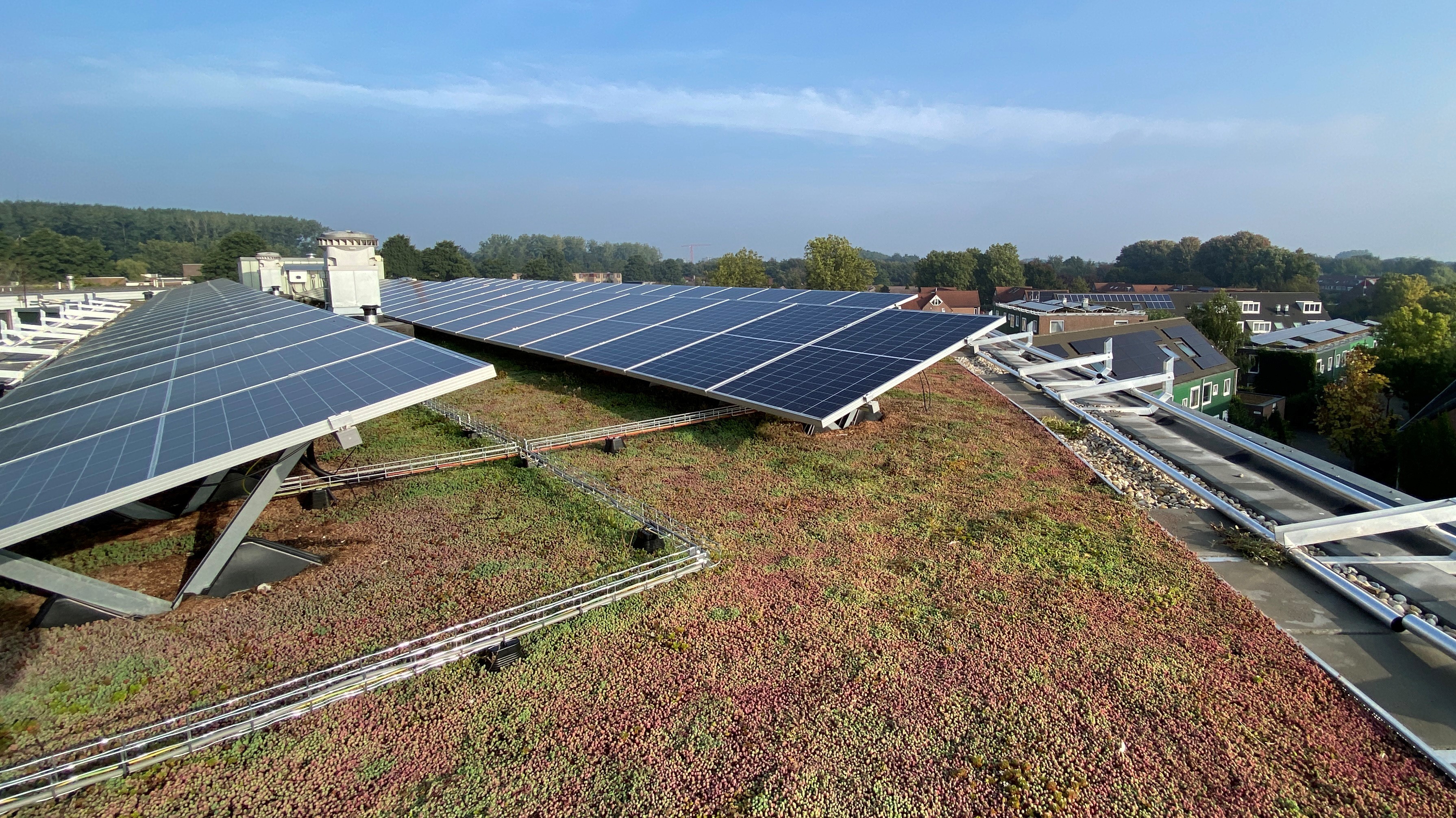 Solar Sedum Roof